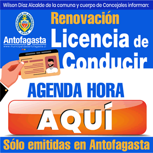 Renovación Licencia 2021