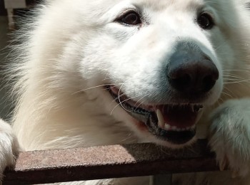 whatsappimage2025-11-13at24954pm